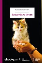 Przygoda w koszu