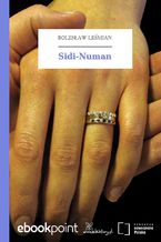 Okadka ksiki Sidi-Numan