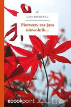 Pierwszy raz jam niewolnik