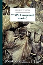 *** (Po huraganach szarż...)