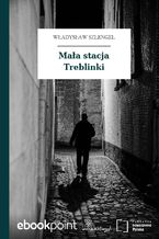 Mała stacja Treblinki