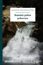 Okładka - Kamień pełen pokarmu - Eugeniusz Tkaczyszyn-Dycki