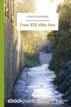 Tren XIX albo Sen