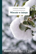 Okładka - Wieczór w śniegu - Andrzej Trzebiński