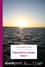 Okładka - Tajemnicza wyspa, tom I - Jules Gabriel Verne