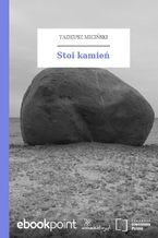 Stoi kamień