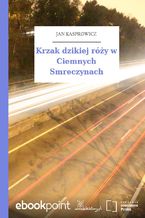 Krzak dzikiej róży w Ciemnych Smreczynach