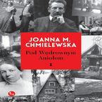 Okładka - Pod Wędrownym Aniołem - Joanna M. Chmielewska