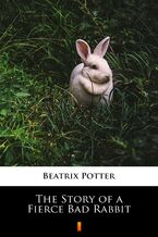 Okadka ksiki The Story of a Fierce Bad Rabbit