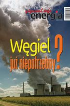 Okładka - Energia Gigawat nr 4-5/2020 - Sylwester Wolak