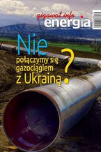 Okładka - Energia Gigawat nr 1/2020 - Sylwester Wolak