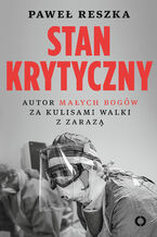 Stan krytyczny