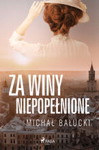 Okładka - Za winy niepopełnione - Michał Bałucki