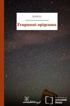 Okadka ksiki Fragment epigramu