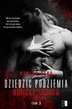 Seria Dziedzic podziemia