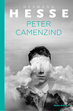 Okładka - Peter Camenzin - Hermann Hesse