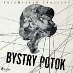 Bystry potok