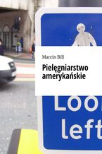 Pielęgniarstwo amerykańskie