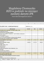 Okładka książki RZiS w podziale na miesiące zasilany danymi JPK