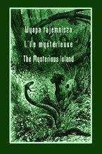 Okadka ksiki Wyspa tajemnicza. L\'le mystrieuse. The Mysterious Island