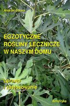 Okładka - Egzotyczne rośliny lecznicze w naszym domu - Andrzej Sarwa