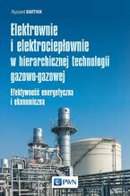 Elektrownie i elektrociepłownie w hierarchicznej technologii gazowo-gazowej