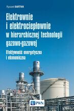Elektrownie i elektrociepownie w hierarchicznej technologii gazowo-gazowej