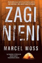 Okadka ksiki Zaginieni