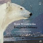 Okładka - Przyjaciel Północy - Ilona Wiśniewska