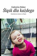 Śląsk dla każdego