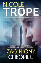 Okładka - Zaginiony chłopiec - Nicole Trope