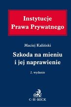 Okładka - Szkoda na mieniu i jej naprawienie. Wydanie 2 - Maciej Kaliński