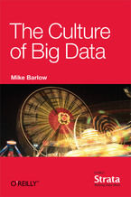 Okładka - The Culture of Big Data - Mike Barlow