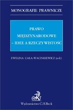 Prawo międzynarodowe. Idee a rzeczywistość