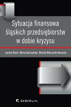 Okładka - Sytuacja finansowa śląskich przedsiębiorstw w dobie kryzysu - Joanna Błach, Maria Gorczyńska, Monika Wieczorek-Kosmala