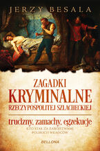 Okładka - Zagadki kryminalne Rzeczypospolitej szlacheckiej - Jerzy Besala