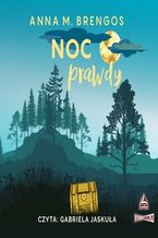 Okładka - Noc prawdy - Anna M. Brengos