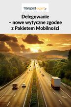 Okładka - Delegowanie - nowe wytyczne zgodne z Pakietem Mobilności - praca zbiorowa