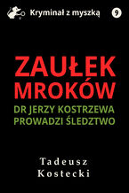 Okładka - Zaułek mroków - Tadeusz Kostecki