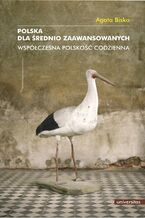 Polska dla średnio zaawansowanych. Współczesna polskość codzienna