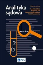 Okładka - Analityka sądowa - Małgorzata Król, Paweł Kościelniak, Renata Wietecha-Posłuszny, Michał Woźniakiewicz