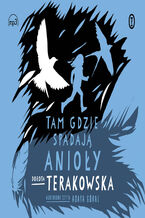 Okładka - Tam, gdzie spadają Anioły - Dorota Terakowska
