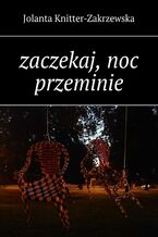 Okładka - Zaczekaj, noc przeminie - Jolanta Knitter-Zakrzewska