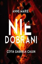Okładka - Niedobrani - Anna Stachowiak