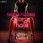 Fabryka Poziomek: Glory hole  opowiadanie erotyczne