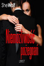 Okładka - Niemożliwość pożegnań  opowiadanie dark erotic - SheWolf