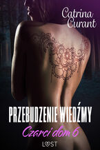 Okładka - Czarci dom 6: Przebudzenie wiedźmy  seria erotyczna - Catrina Curant