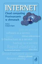 Okadka ksiki Internet. Cloud computing. Przetwarzanie w chmurach