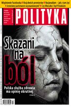 Polityka nr 27/2013