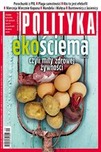 Polityka nr 29/2013